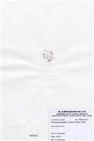 藏品(縱胞藻)的圖片